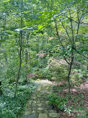 163 Gypsy Mountain Road Marion NC 28752