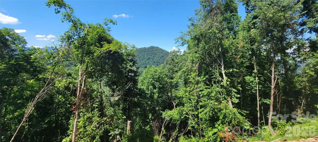 34 Destination Drive Waynesville NC 28786