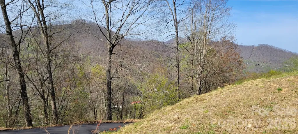 36 Destination Drive Waynesville NC 28786
