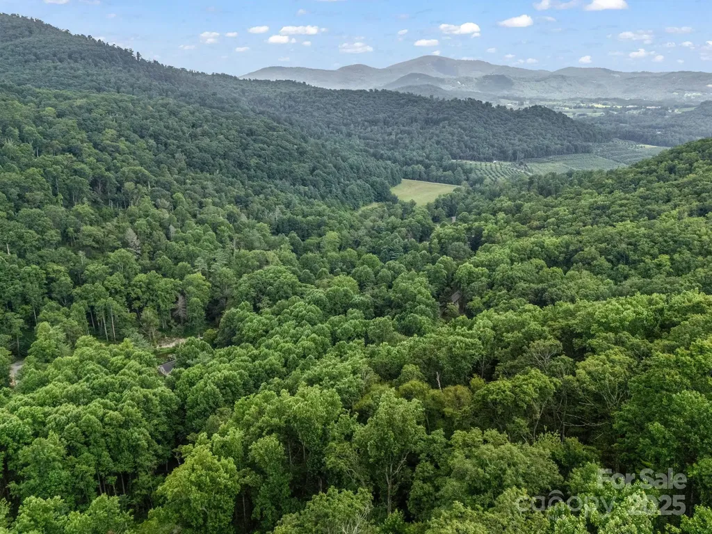 1145 Bearwallow Mountain Road Hendersonville NC 28792