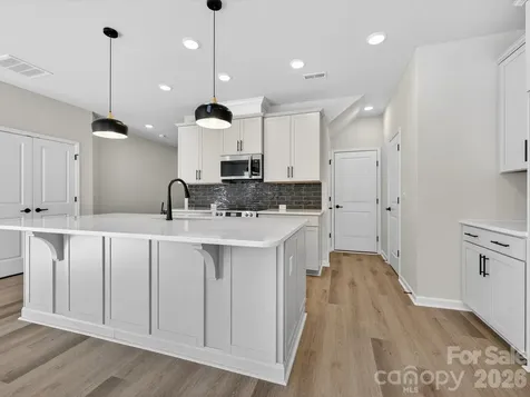 229 Alluvium Lane Waxhaw NC 28173