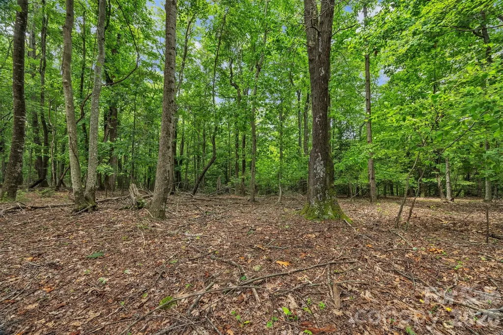 0 Pike Road Moravian Falls NC 28654