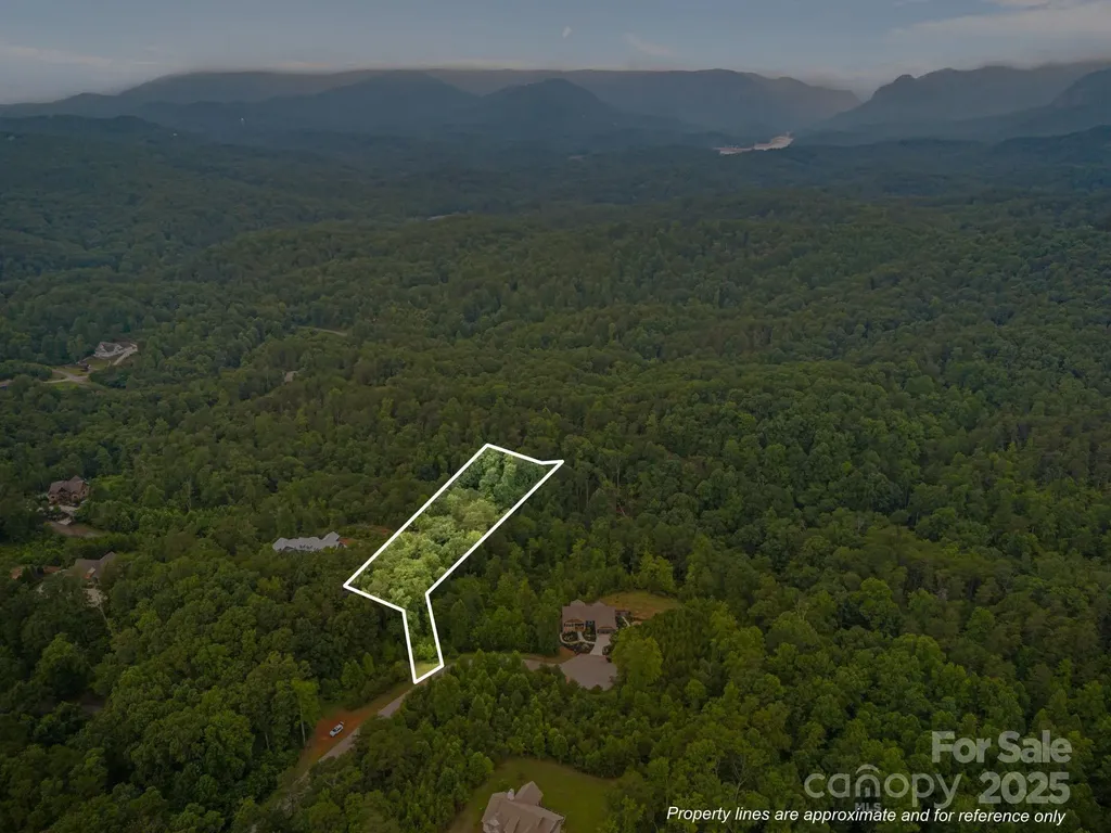99999 Deer Jump Trail Lake Lure NC 28746