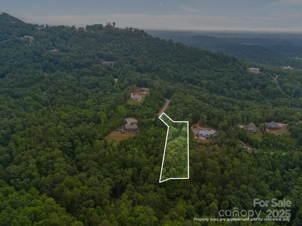 99999 Deer Jump Trail Lake Lure NC 28746