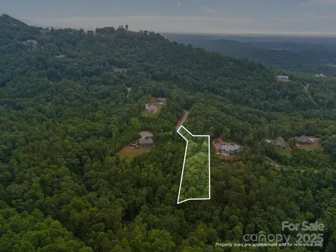 99999 Deer Jump Trail Lake Lure NC 28746