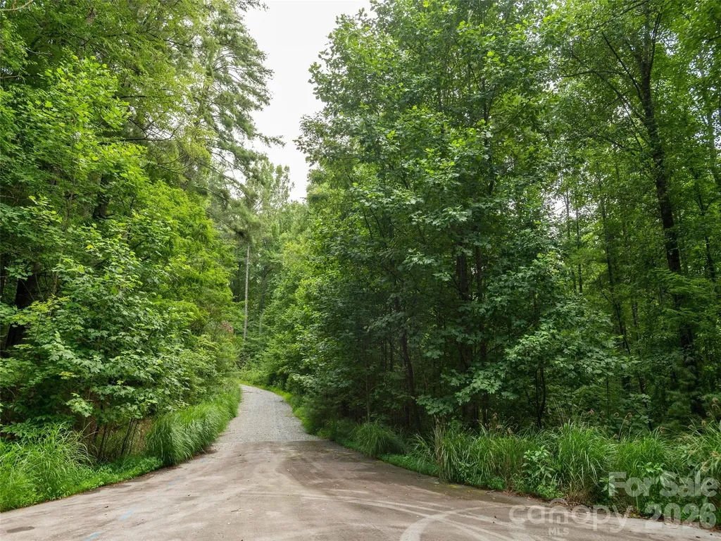0 Willow Falls Lane Hendersonville NC 28792