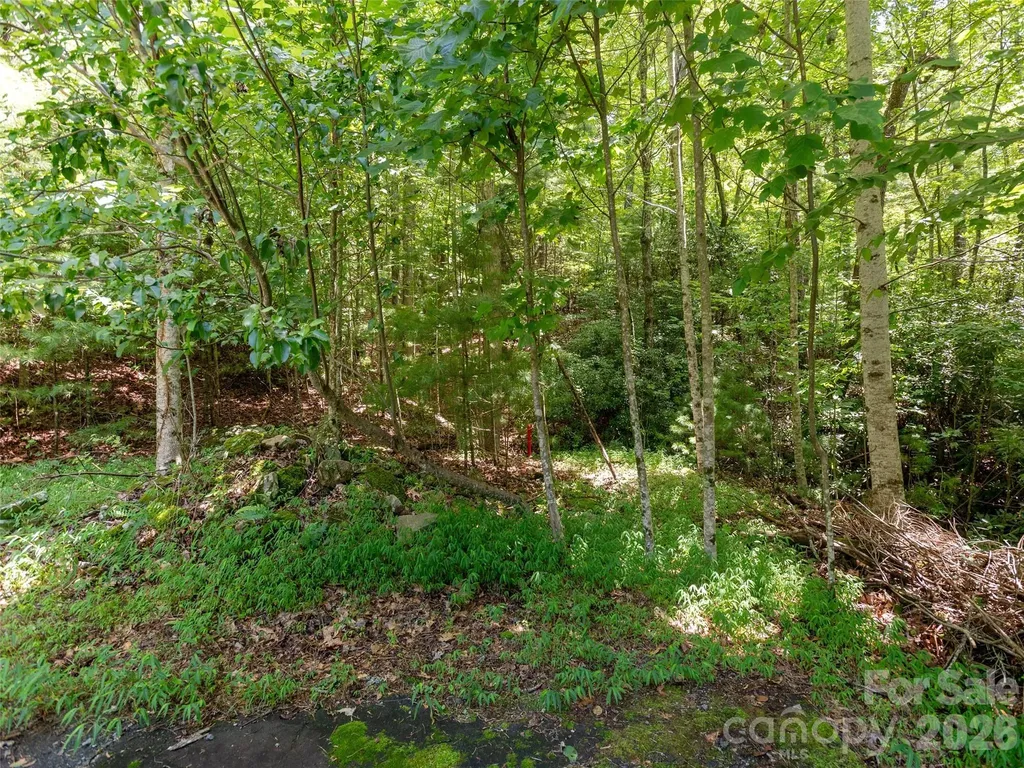 0 Willow Falls Lane Hendersonville NC 28792