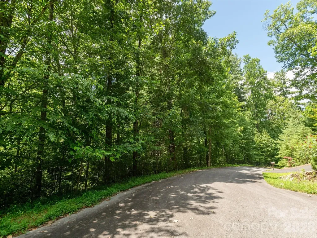 0 Willow Falls Lane Hendersonville NC 28792