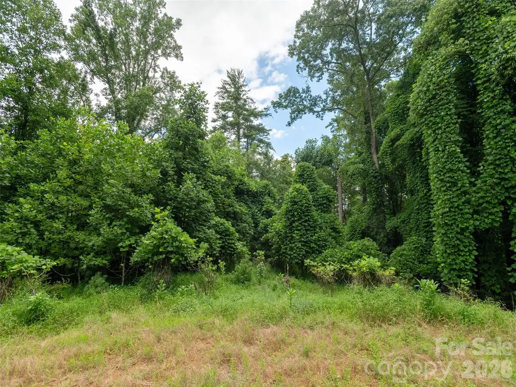 0 Willow Falls Lane Hendersonville NC 28792