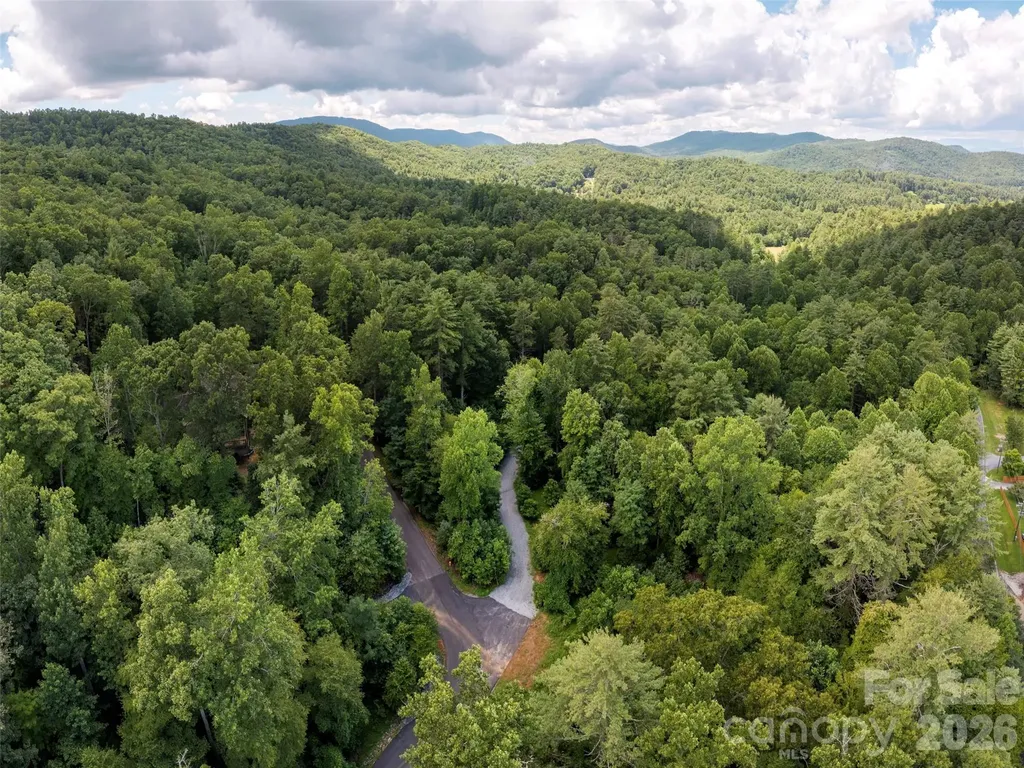 0 Willow Falls Lane Hendersonville NC 28792