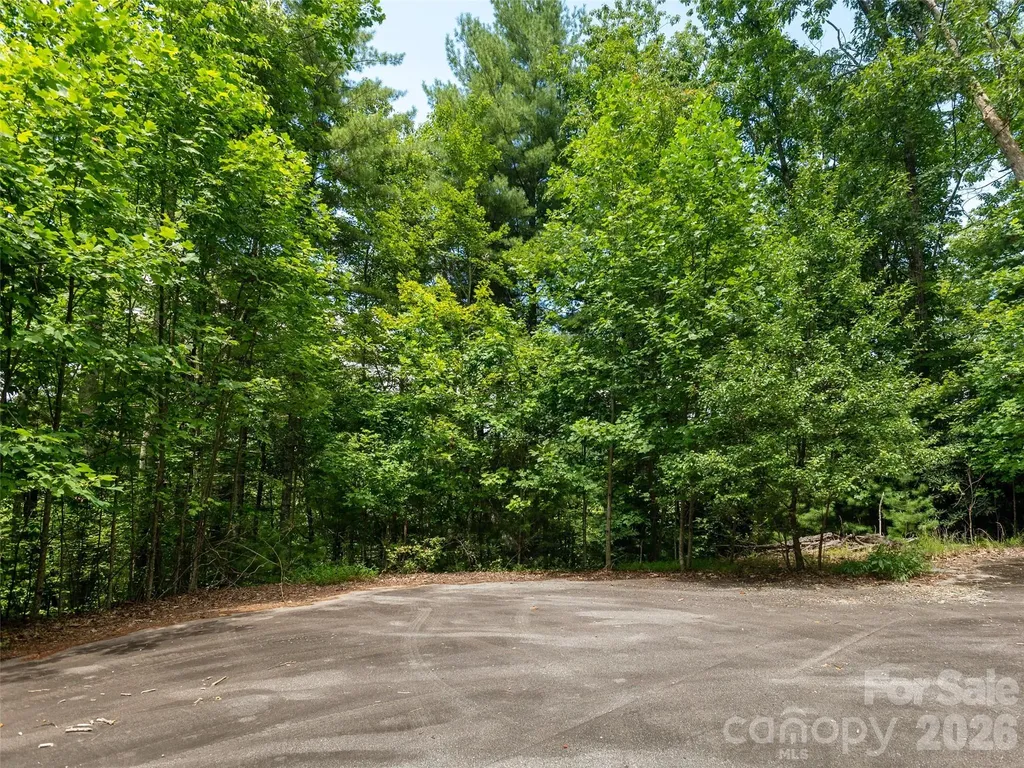 0 Willow Falls Lane Hendersonville NC 28792