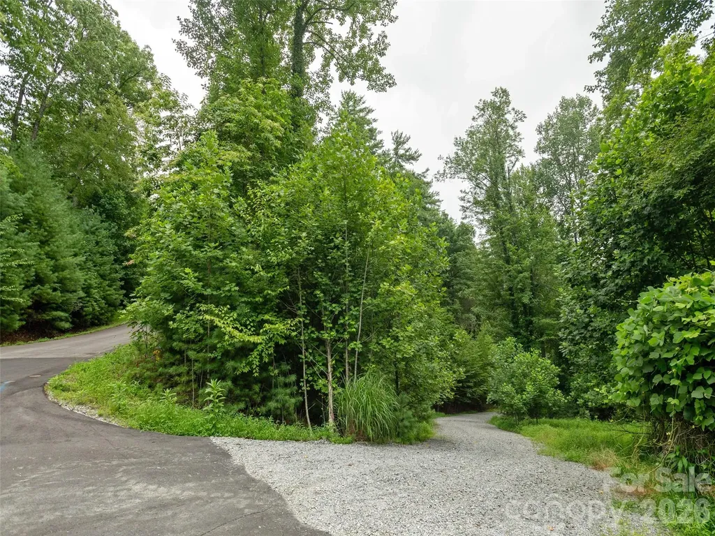 0 Willow Falls Lane Hendersonville NC 28792