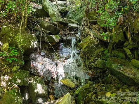0 Willow Falls Lane Hendersonville NC 28792