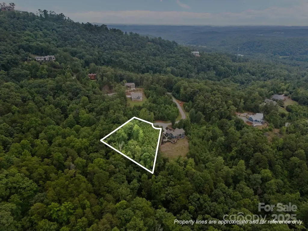 00000 Deer Jump Trail Lake Lure NC 28746