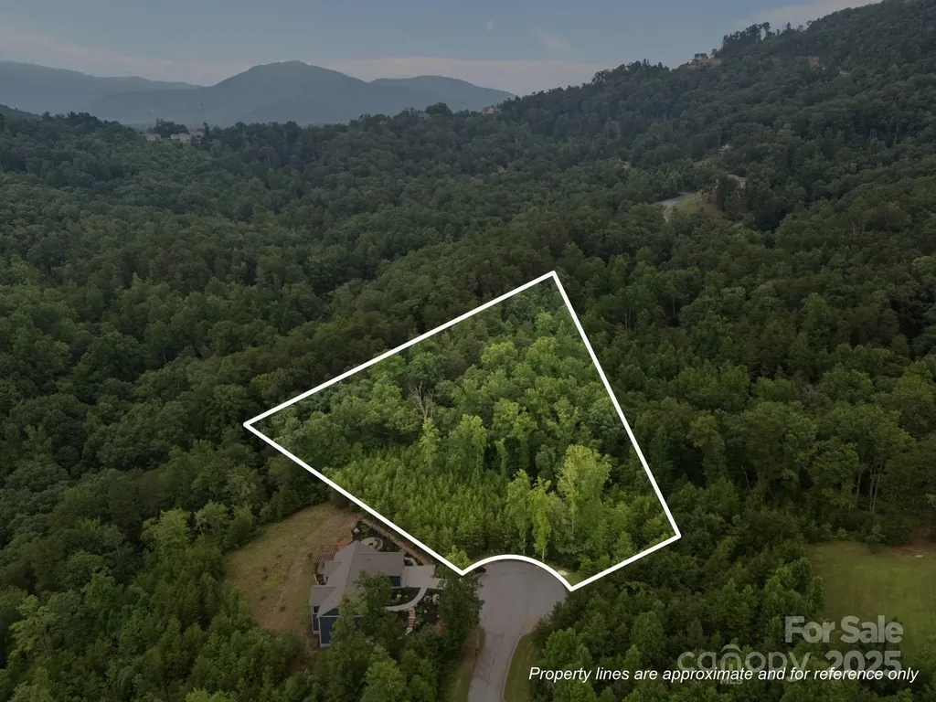 00000 Deer Jump Trail Lake Lure NC 28746