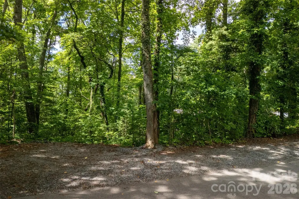 99999 Buffalo Trail Asheville NC 28805