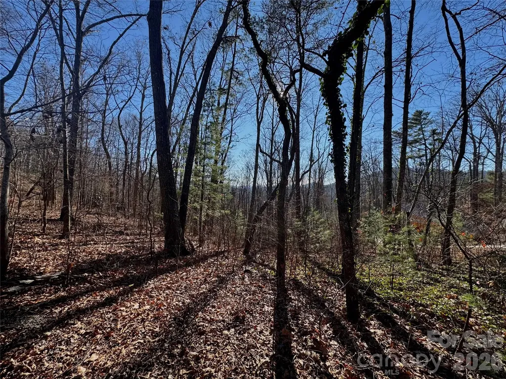 99999 Buffalo Trail Asheville NC 28805