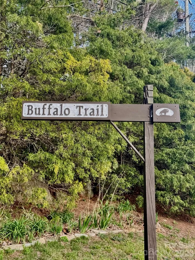 99999 Buffalo Trail Asheville NC 28805