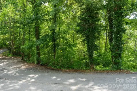 99999 Buffalo Trail Asheville NC 28805