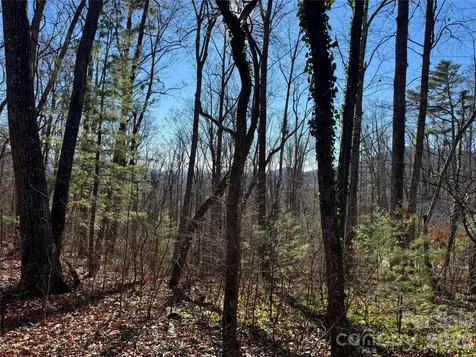 99999 Buffalo Trail Asheville NC 28805