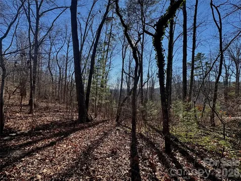 99999 Buffalo Trail Asheville NC 28805