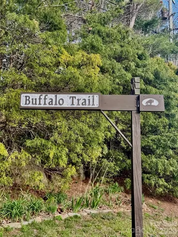 99999 Buffalo Trail Asheville NC 28805