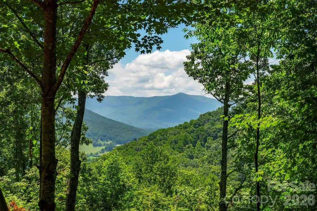 7 Winding Poplar Road Black Mountain NC 28711