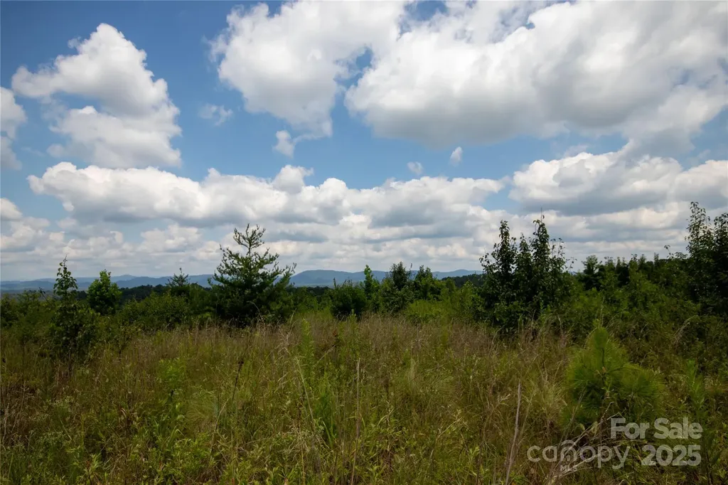 Tbd Hickory Boulevard Lenoir NC 28645
