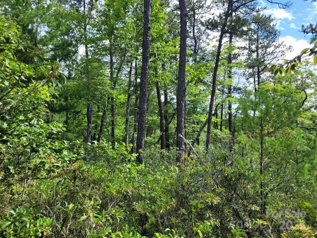 0 Oconee Drive Marion NC 28752