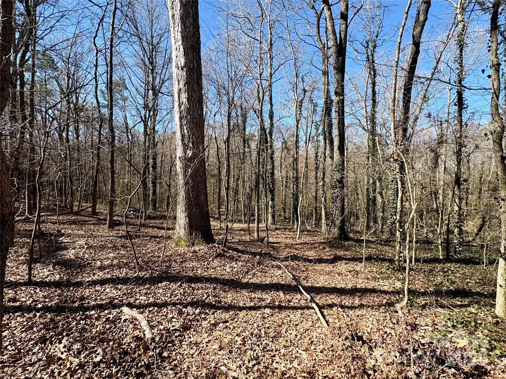 1417 Ellis Griffin Road Wingate NC 28174