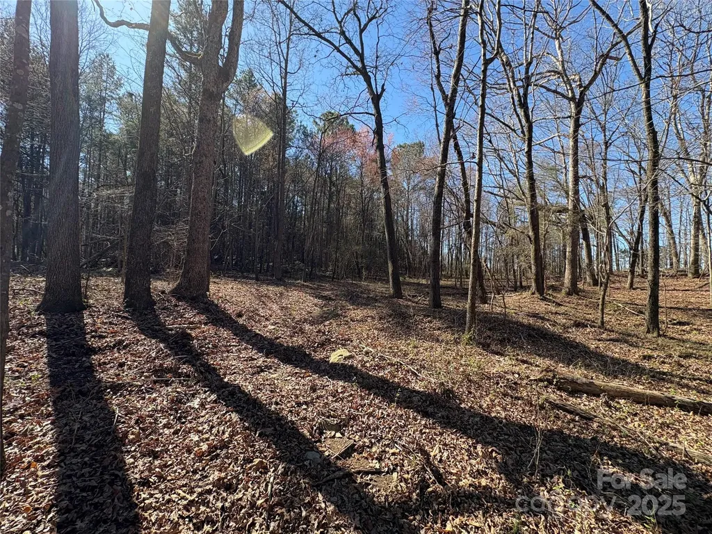 1417 Ellis Griffin Road Wingate NC 28174