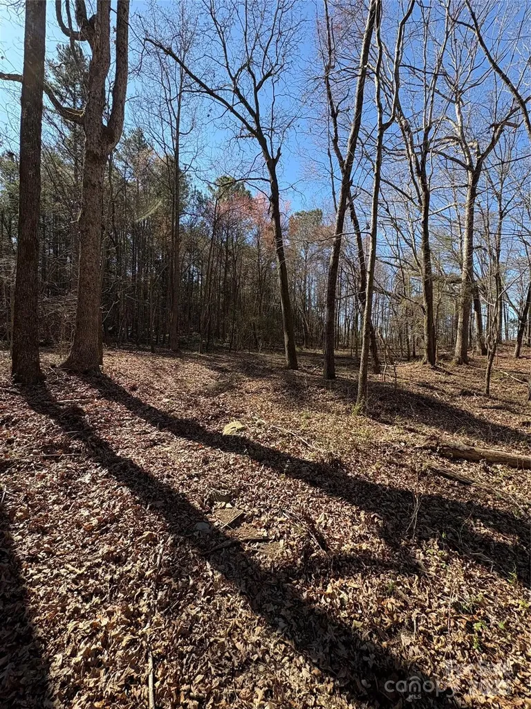 1417 Ellis Griffin Road Wingate NC 28174