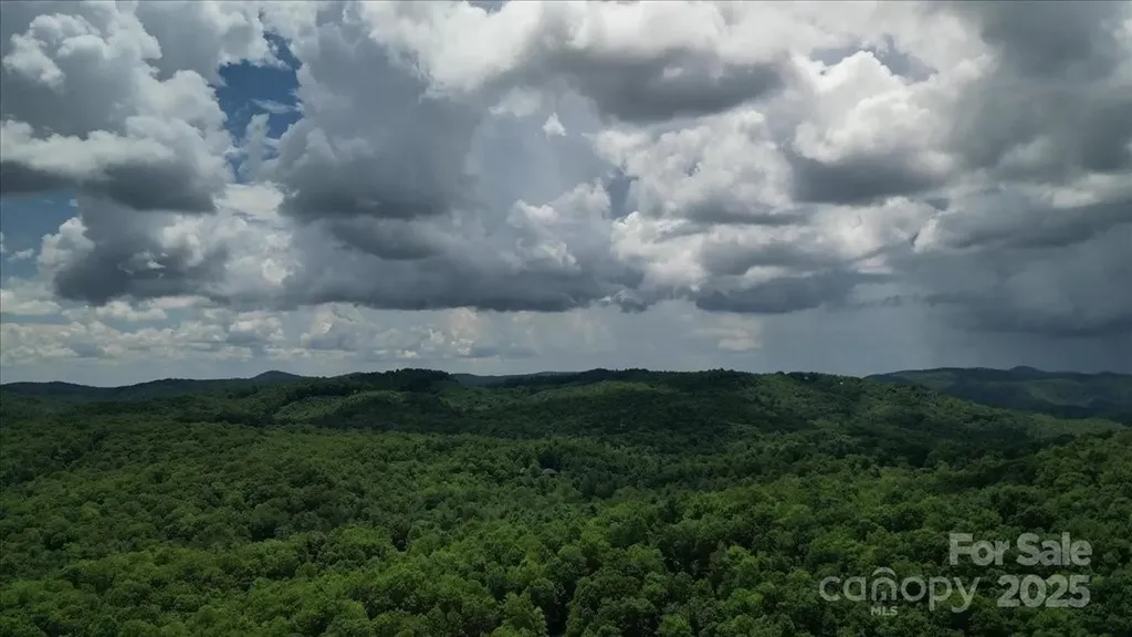 23 Dvga Court Brevard NC 28712
