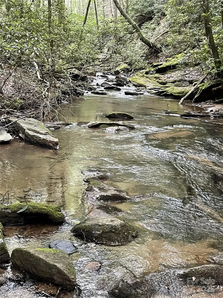 0 E Green Creek Drive Tryon NC 28782