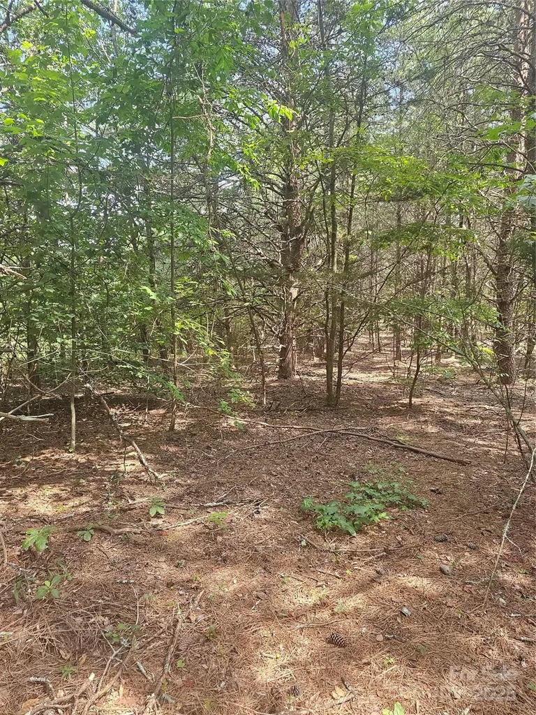 0 E Green Creek Drive Tryon NC 28782