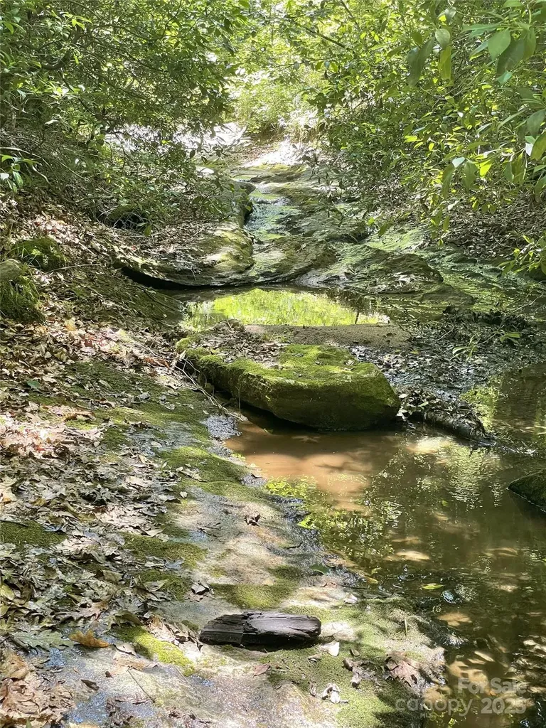 0 E Green Creek Drive Tryon NC 28782