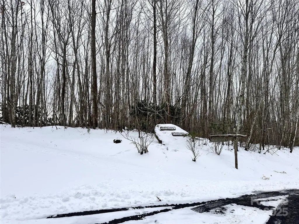 0000 Lot 78 Black Bear Crossing Elk Park NC 28622