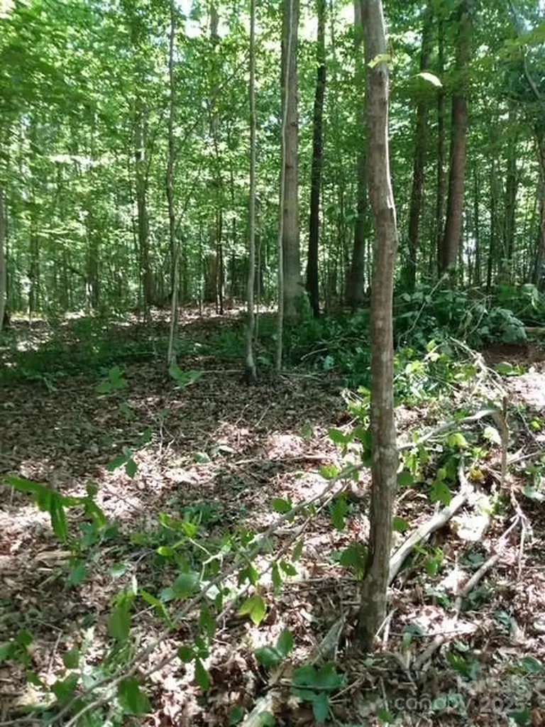 0 Winter Park Drive Shelby NC 28152