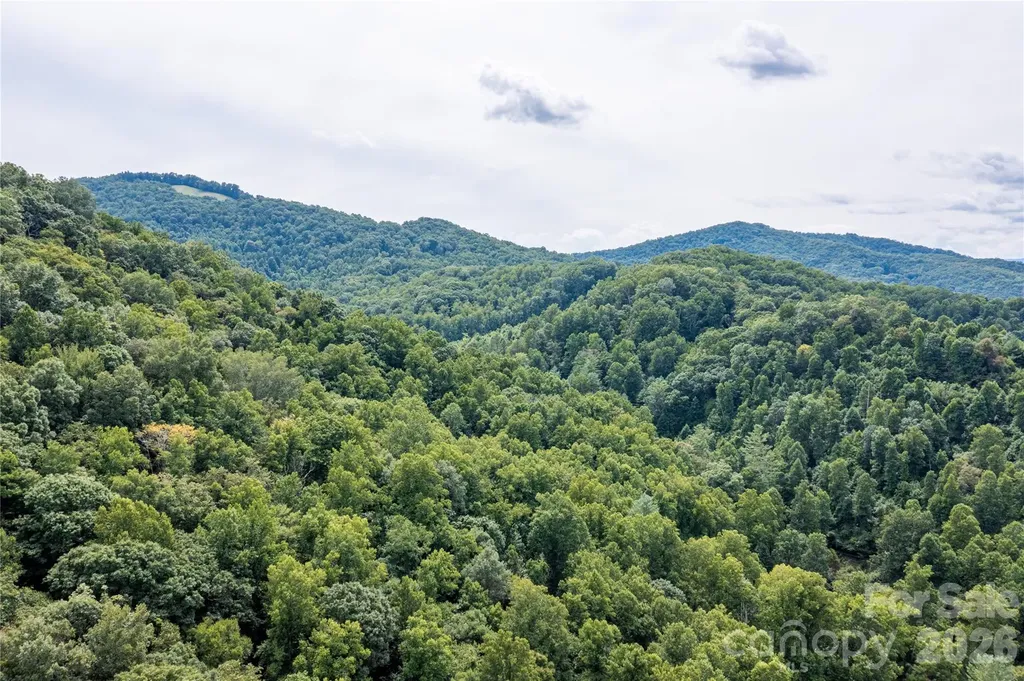 226 Wildcat Mountain Trail Sylva NC 28779