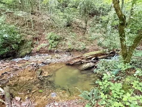 226 Wildcat Mountain Trail Sylva NC 28779