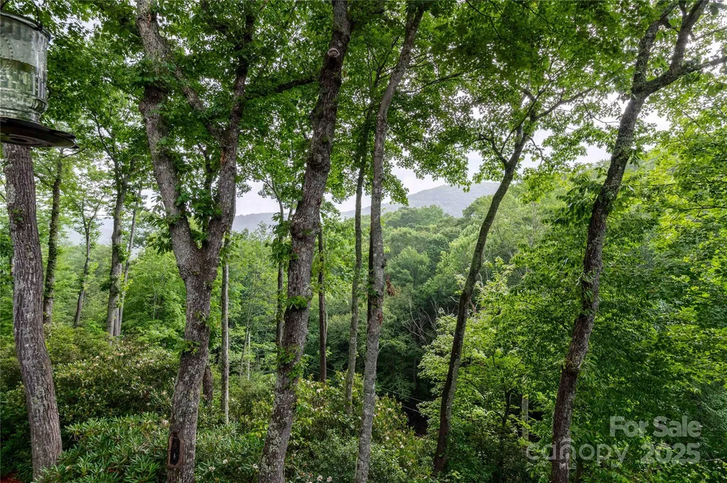 238 Falling Water Drive Burnsville NC 28714