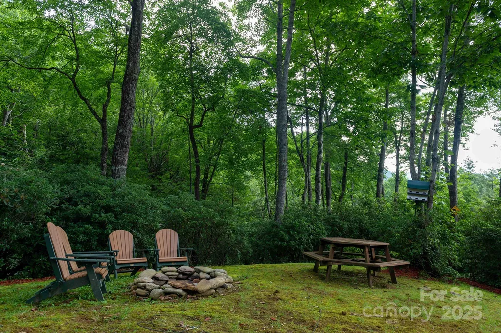 238 Falling Water Drive Burnsville NC 28714