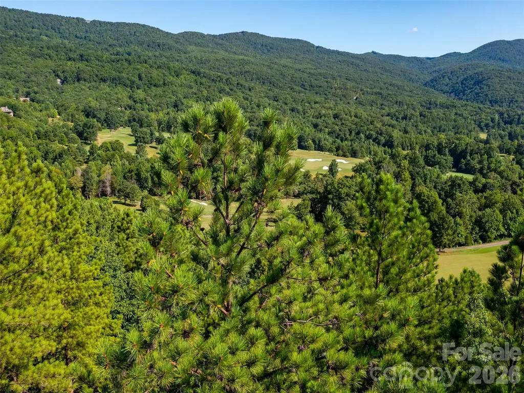 2026 Deep Gap Farm Road E Mill Spring NC 28756