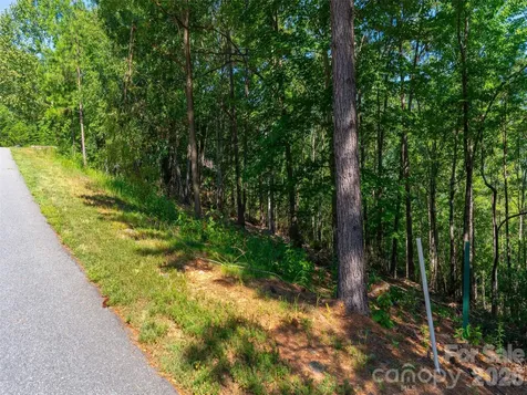 2026 Deep Gap Farm Road E Mill Spring NC 28756