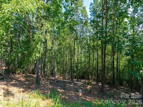 2026 Deep Gap Farm Road E Mill Spring NC 28756