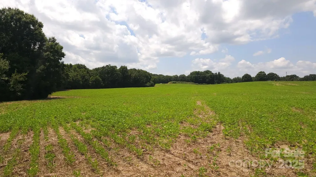 Tbd Traywick Road Peachland NC 28133