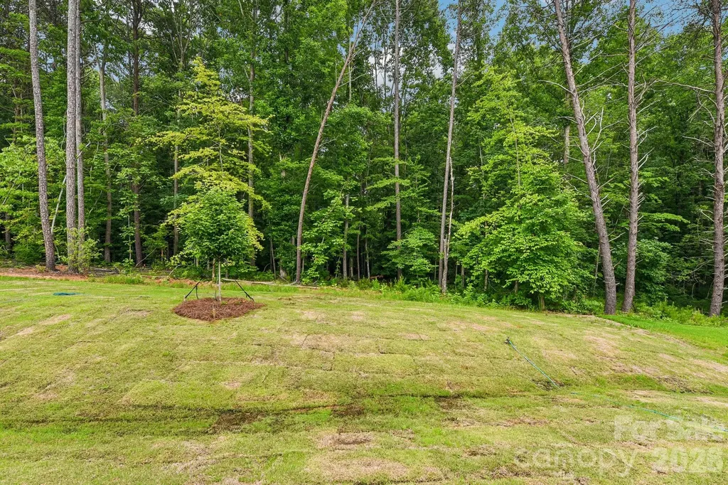 153 Asmodean Lane Troutman NC 28166