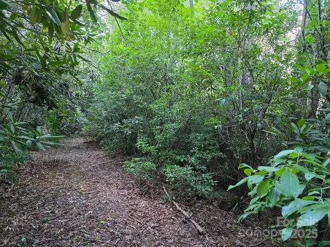 Lot 2 Pine Ridge Road Burnsville NC 28714