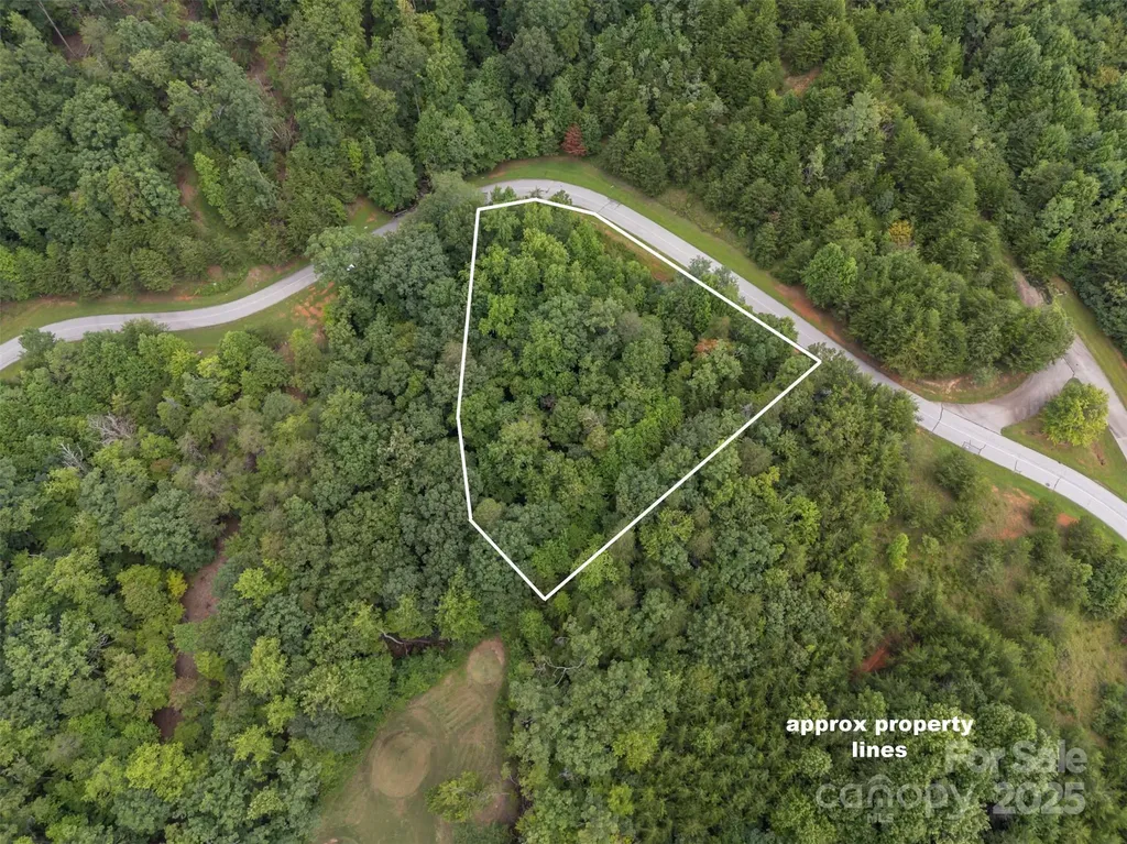 00 Deep Gap Road E Mill Spring NC 28756