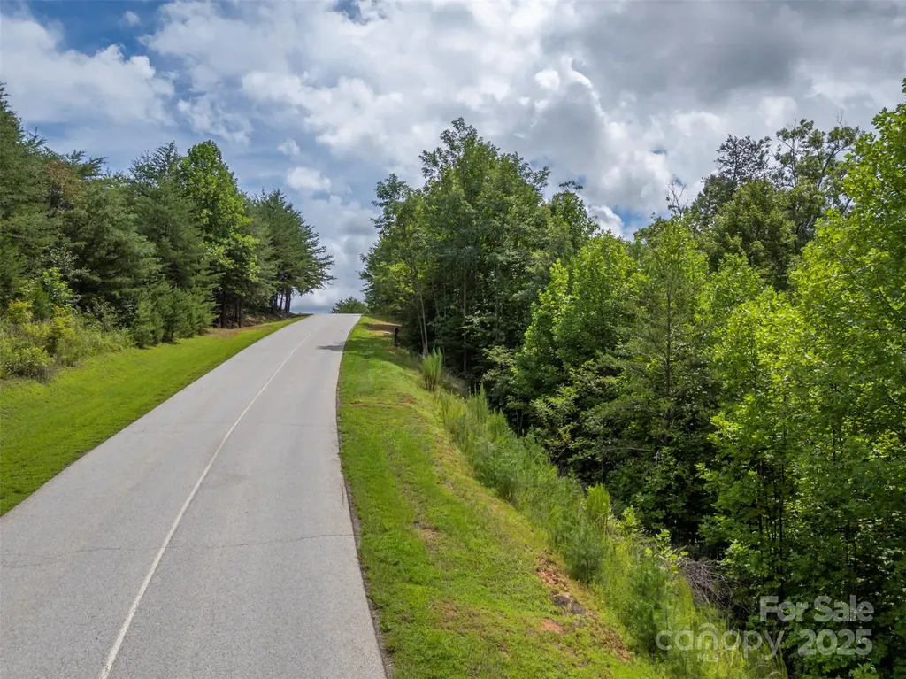 00 Deep Gap Road E Mill Spring NC 28756